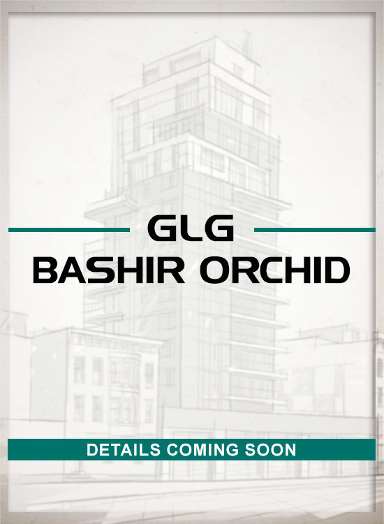 Bashir Orchid