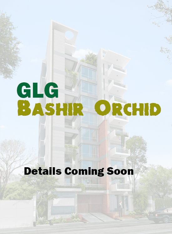 GLG Bashir Orchid